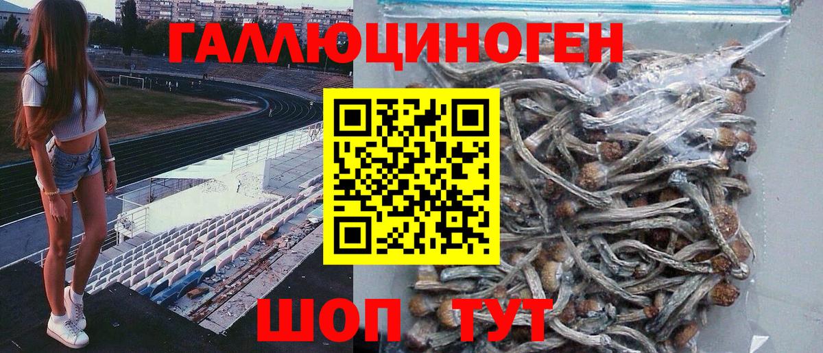 Галлюциногенные грибы Psilocybine cubensis Фролово